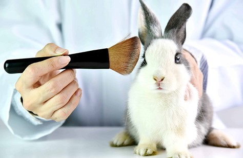 تصویر خرگوش یا cruelty free